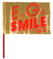 E-girls E.G. SMILE FINAL フラッグ 「E-girls LIVE TOUR 2016 ～E.G. SMILE～」 ファイナル公演限定