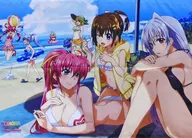 集合(ビーチ) 川上修一描きおろしB2タペストリー 「CD 魔法少女リリカルなのはキャラクターソング コンプリートBOX」 とらのあな購入特典