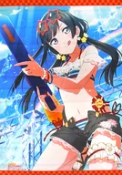 優木せつ菜 水着タペストリー 「ラブライブ!虹ヶ咲学園スクールアイドル同好会」 タペストリー Comic Book～優木せつ菜～付録