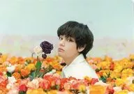 [単品] ブイ(BTS/防弾少年団) ミニフォトカード(4/8) 「BTS WORLD TOUR ’LOVE YOURSELF’～JAPAN EDITION～」