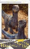 04.VELOCIRAPTOR 「ジュラシック・ワールド ムービーシーンスナップマイドコレクション」