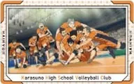 13.烏野高校 「ハイキュー!! スナップカード」