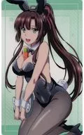 煌坂紗矢華(バニー ver.) 「ストライク・ザ・ブラッドFINAL コレクションカード」