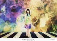 矢久保美緒 ポストカード(床：ストライプ) 「乃木坂46 真夏の全国ツアー2019」 会場限定 乃木坂46 Mobile 『乃木坂46ミュージアム』お土産キャンペーン B賞