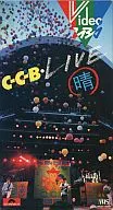 C-C-B / LIVE (晴)