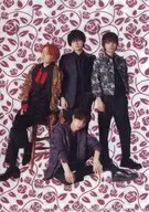 Sexy Zone(timelesz)(B/縦) ミニクリアファイル 「Johnny’s Shop」