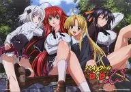 集合 デスクシート 「タイトーくじ本舗 ハイスクールD×D NEW セーブオン限定」 F賞