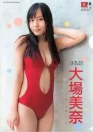 大場美奈(AKB48/赤水着) B5クリアファイル EX大衆2013年6月号付録
