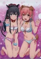 C.雪ノ下雪乃＆由比ヶ浜結衣 A4クリアファイル 「やはり俺の青春ラブコメはまちがっている。完」