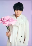 岩﨑大昇(美 少年) A4クリアファイル’21夏 「Johnnys’ ISLAND STORE」