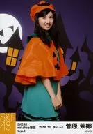 菅原茉椰/膝上・右向き/SKE48 2016年10月度 net shop限定個別生写真「2016.10」「ハロウィン」