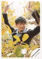 タッキー＆翼/今井翼/上半身・衣装黒水色・両手枝掴む/18春 今井翼オフショット