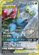 097/095[SR]：(キラ)セレビィ＆フシギバナGX