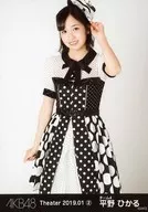 平野ひかる/膝上/AKB48 劇場トレーディング生写真セット2019.January2 「2019.01」 チーム4セット