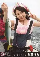 加藤るみ/｢東京ドームコンサート2014 AKB48グループ夏公式パンフ｣特典