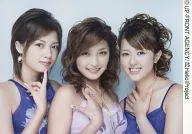 美勇伝/集合(3人)/横型・バストアップ・衣装紫・パー・右手あご・背景白/公式生写真