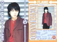08 ： 金子恭平/FLAME  オフィシャルトレーディングカード
