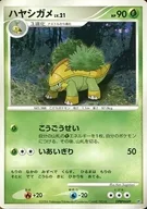 DPBP#449：ハヤシガメ