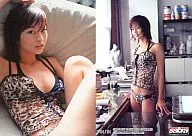 Y-04 ： 安田美沙子/レギュラーカード/sabra トレーディングカード 安田美沙子