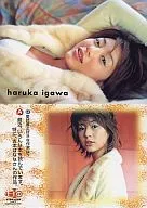 22 ： 井川遥/レギュラーカード/TReB vol.4