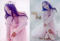 020 ： KARA2/020/HaRa