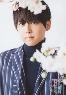 梶裕貴/バストアップ・桜の花/恋を読む「ぼくは明日、昨日のきみとデートする 再演」スペシャルブロマイド