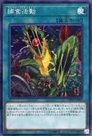 DP22-JP047[SR]：捕食活動