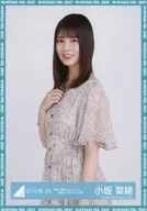 小坂菜緒/上半身/日向坂46 ランダム生写真【「君しか勝たんルーレット」私服コーディネート衣装】