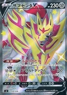 030/028：ザマゼンタV