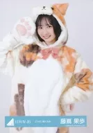 藤嶌果歩/上半身/日向坂46ランダム生写真【どうぶつ着ぐるみ】