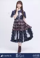 小川彩/全身/ノーマル/「踏んでしまった」乃木コレ ランダム生写真
