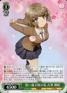 SBY/W114-033[RR]：想い運ぶ桜の花 古賀 朋絵