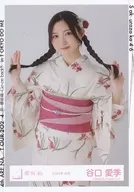 谷口愛季/上半身/櫻坂46ランダム生写真【2024年 浴衣】