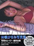 DVD付）仲根かすみ写真集 ALAMER 海へ