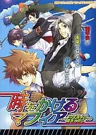 <<家庭教師ヒットマンREBORN!>> 時をかけるマフィア 10年後より愛をこめて / 相京あかり/あおいれびん/亜佳音/浅井ニケ/彩野海/他