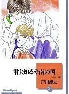 文庫判コミック)君よ知るや南の国(3) / 戸川視友