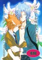 <<家庭教師ヒットマンREBORN！>> ここにしか咲かない花 / 坂口夏星 （獄寺隼人×沢田綱吉） / サラマンダー倶楽部
