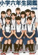 <<オリジナル>> 小学六年生図鑑 / 伸長に関する考察 / 保田塾塾長 / 保田塾