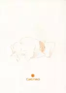 <<家庭教師ヒットマンREBORN！>> Catnap / ヒナタ （山本武×獄寺隼人） / eco.