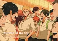 <<ハイキュー！！>> WONDER of the CAT / 坂崎春 （影山飛雄、日向翔陽、孤爪研磨） / ESplus