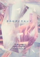 <<スラムダンク>> きみはダイヤモンド / とめ （流川楓×桜木花道） / 透明日和