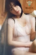 <<その他アイドル>> 柳ゆり菜 プレミアMINIブック