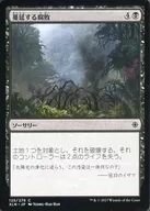 [C]：蔓延する腐敗/Spreading Rot