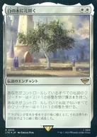 0015[R]：【LTR】【FOIL】白の木に花開く/Flowering of the White Tree