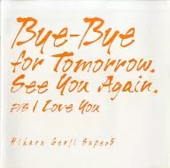 <<パンフレット(ライブ)>> パンフ)光GENJI Bye-Bye for Tomorrow、See you Again、P/S I Love you